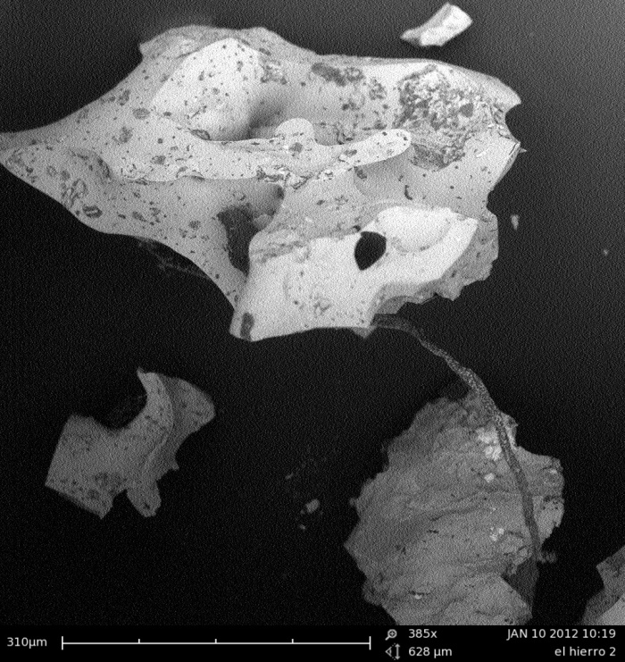 Sample of a Restignolita found at El Hierro in the SEM. Image done by author.