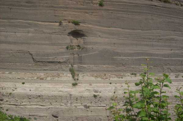 Tephralayers from the Laacher See eruption at the Wingertsbergwand . Rarely geological structured are layed out in such a visible way. Image by author (CC BY-NC-SA 3.0). 