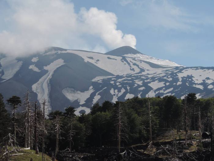 Will Etna remain on the new Decade Volcano Program? Or will Boris Behncke have to defend the existance? Many questions that slowly will get an answer. Photograph by Dr. Boris Behncke.